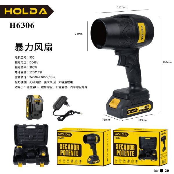 H6306