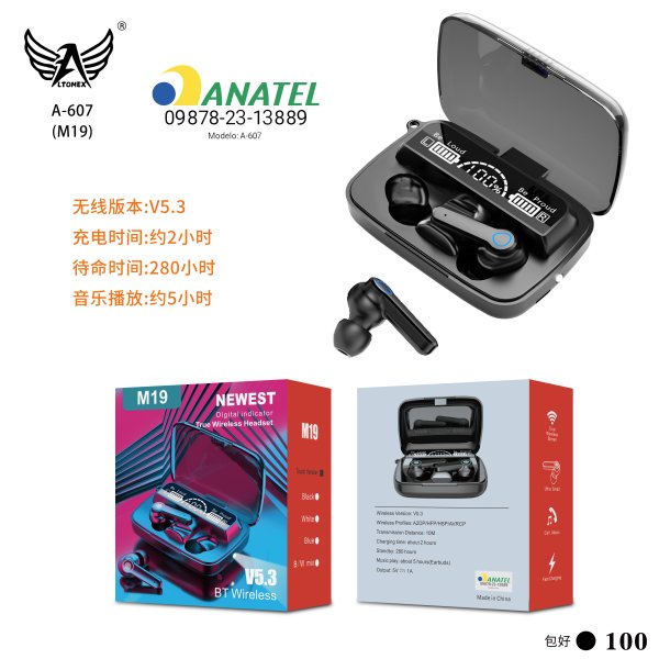 A-607(M19)
