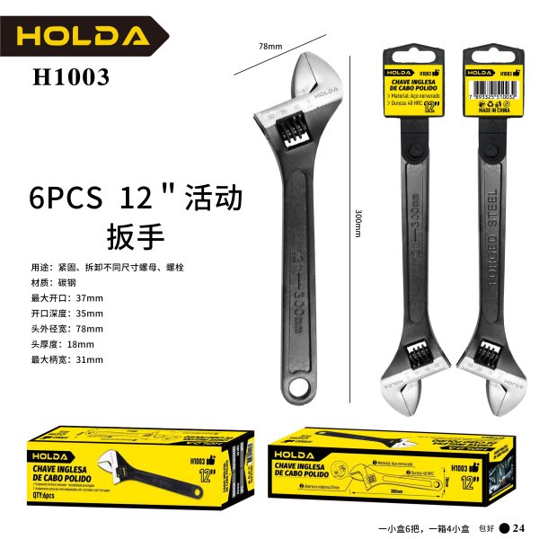 H1003
