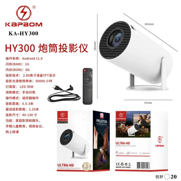 KA-HY300