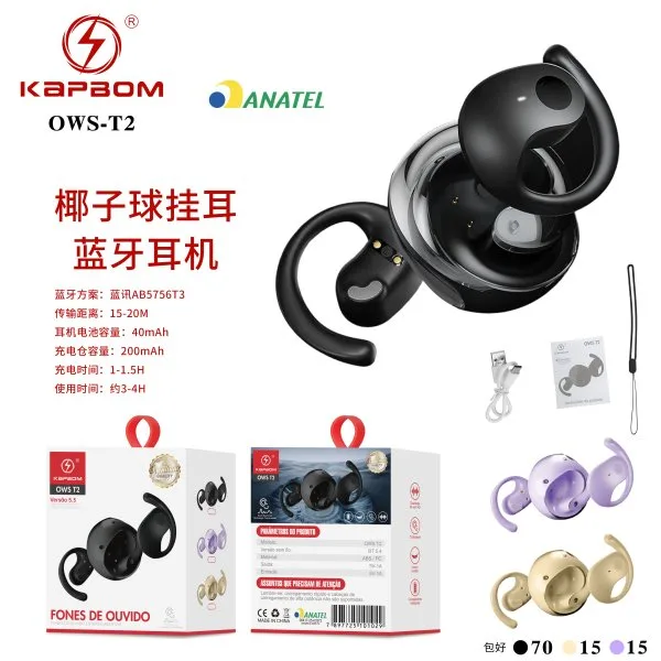 OWS-T2