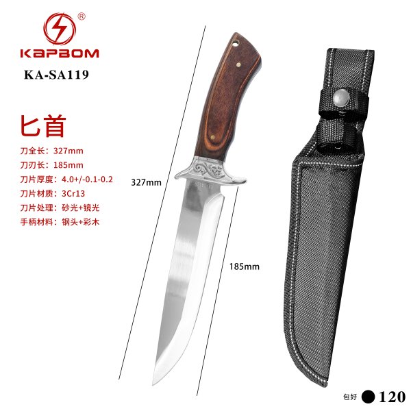 KA-SA119