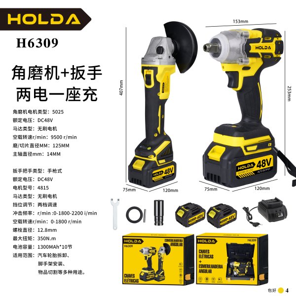 H6309 新