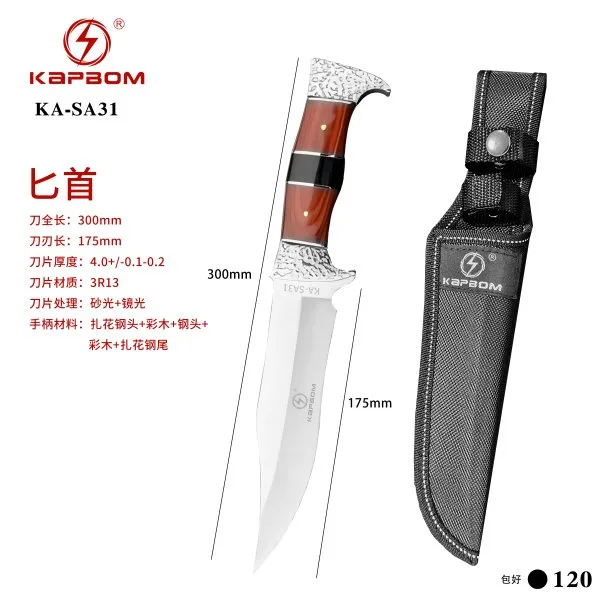 KA-SA31