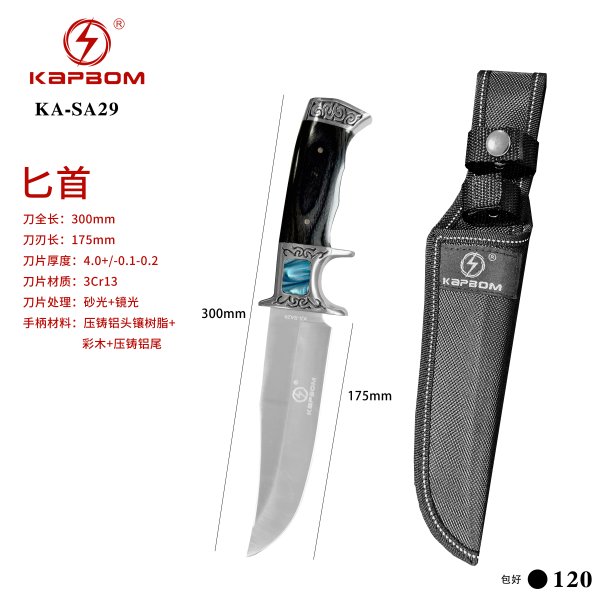 KA-SA29