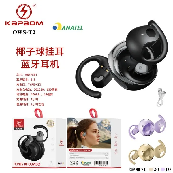 OWS-T2-新